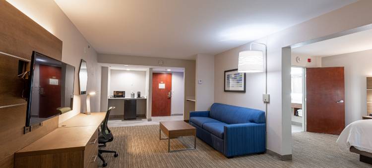 阿林顿北体育场区智选假日套房酒店(Holiday Inn Express & Suites Arlington North – Stadium Area)图片