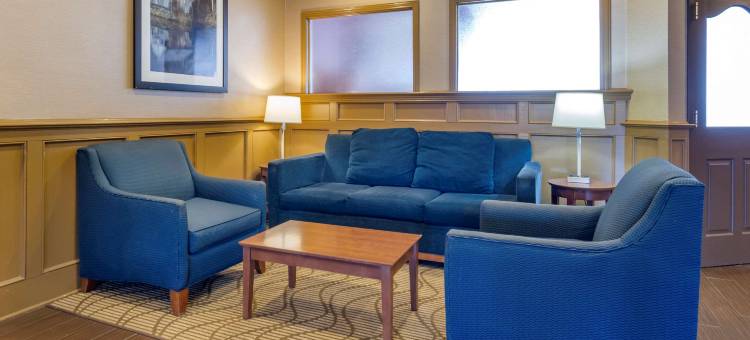 舒适套房酒店-拉芬列克星敦I-81和I-64附近(Comfort Inn & Suites Raphine - Lexington Near I-81 and I-64)图片