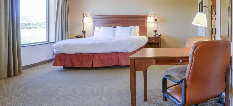 派恩代尔欢朋套房酒店(Hampton Inn & Suites Pinedale)图片