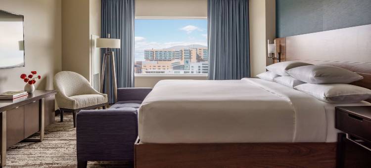 奥罗拉丹佛会议中心凯悦酒店(Hyatt Regency Aurora Denver Conference Center)图片