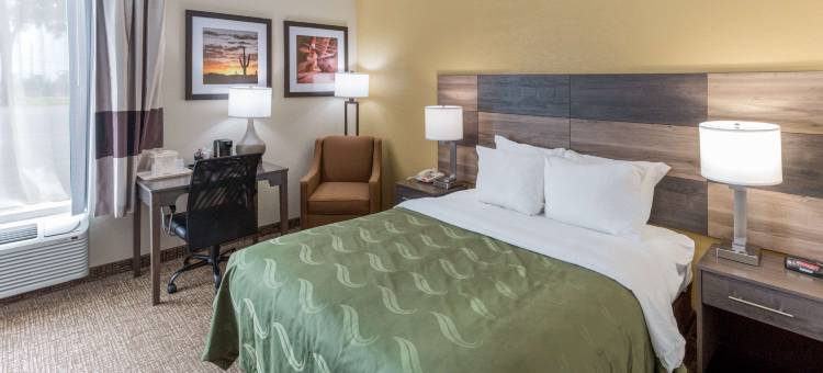 凯艺套房酒店(Quality Inn & Suites)图片