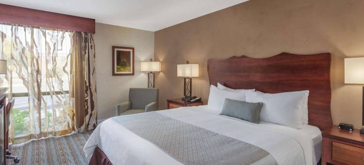 维塞利亚温德姆酒店(Wyndham Visalia)图片