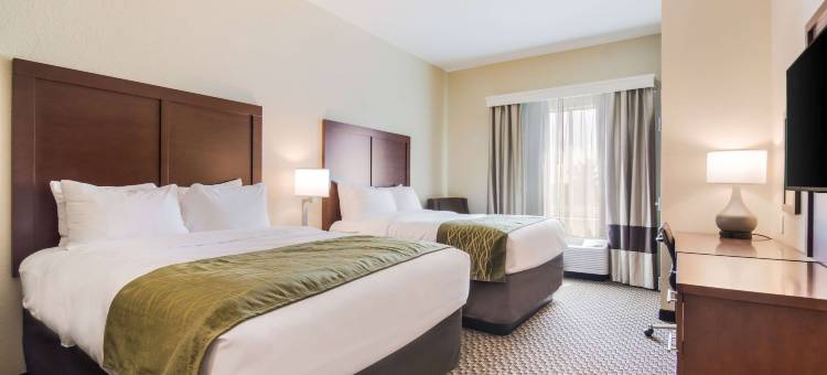 舒适套房酒店(Comfort Inn & Suites)图片