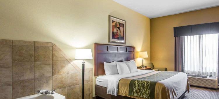 麦迪逊维尔舒适酒店及套房(Comfort Inn and Suites)图片