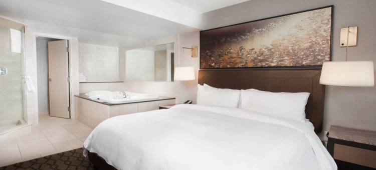 尼亚加拉瀑布城万豪瀑景水疗酒店(Niagara Falls Marriott Fallsview Hotel & Spa)图片