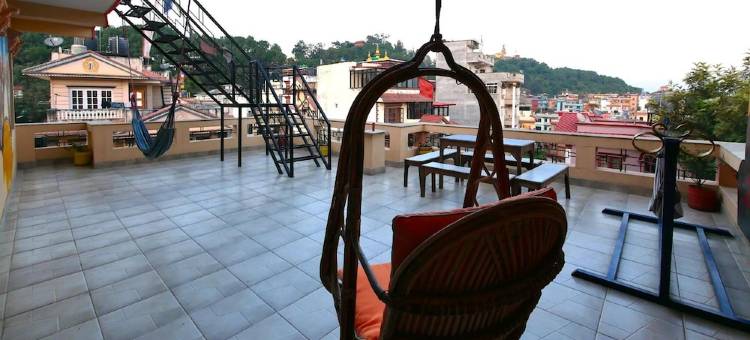 波光粼粼龟背包客青年旅馆(The Sparkling Turtle Backpackers Hostel)图片