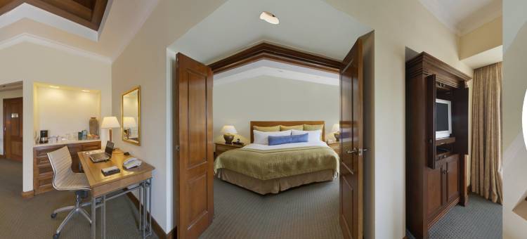 InterContinental Hotels 真METROCENTRO马那瓜(InterContinental Hotels Managua at Metrocentro Mall)图片