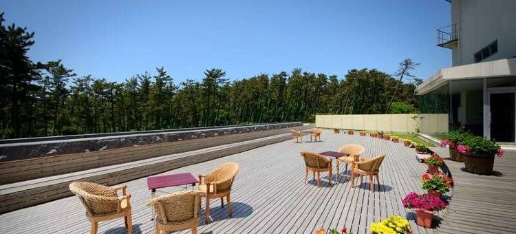 华夕美 日本海(Hanayubi Nihonkai)图片