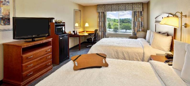 希尔顿欢朋酒店-拉特兰(Hampton Inn Rutland)图片