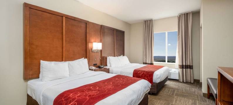 大学城舒适套房酒店(Comfort Suites University)图片