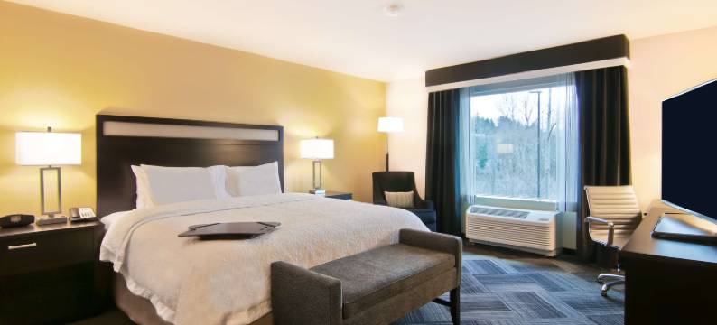 贝尔维尤市中心/西雅图欢朋酒店(Hampton Inn & Suites Bellevue Downtown-Seattle)图片