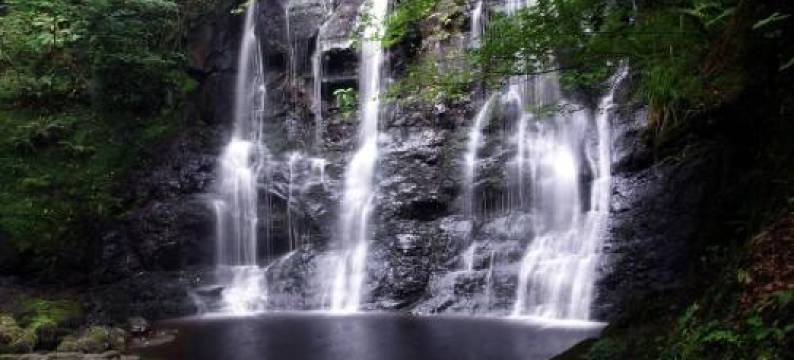 Cosy Loft Apartment图片