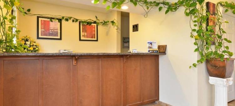 拜黑利亚美洲最佳价值酒店(Americas Best Value Inn- Byhalia)图片