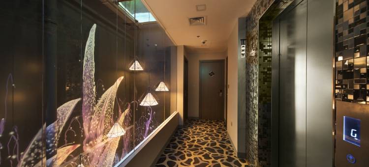 四叶草 7 酒店(Hotel Clover 7)图片