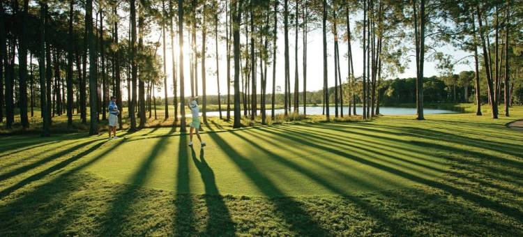 黄金海岸洲际神仙湾度假酒店(InterContinental Sanctuary Cove Resort)图片