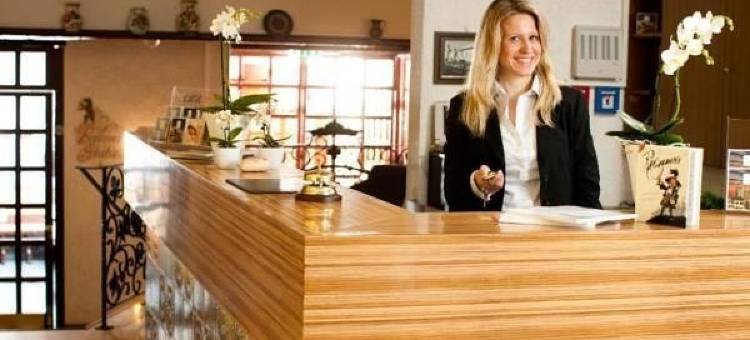 吕德斯海姆特劳贝酒店(Hotel Traube Rüdesheim)图片