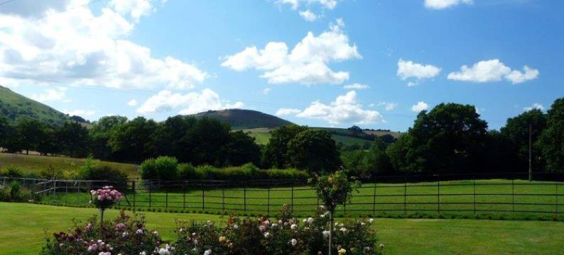 菲尔德之家旅馆(Field House Guest House)图片