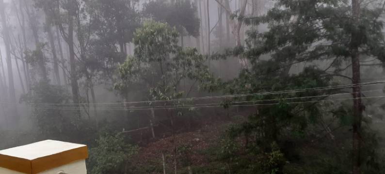 NJK公寓(Njk Residency)图片