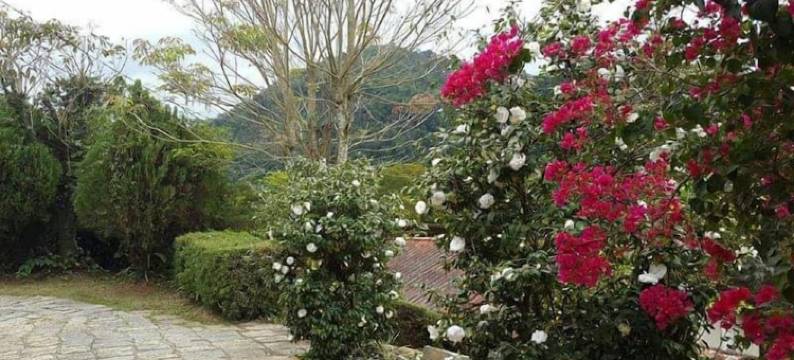 西提欧苏西哥旅馆(Pousada Sitio Sossego)图片