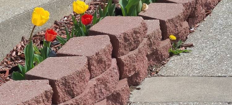 霍兰德戴斯酒店(Days Inn by Wyndham Holland)图片