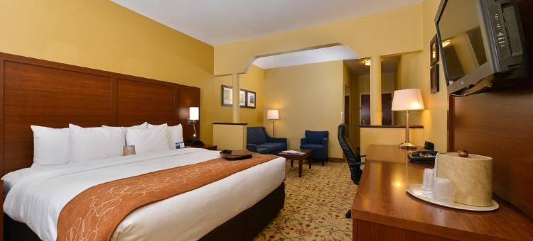 品质套房酒店米德兰北环路250(Quality Suites Midland North Loop 250)图片