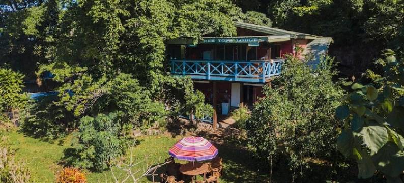 树顶旅馆(Treetops Bnb & Bungalows)图片