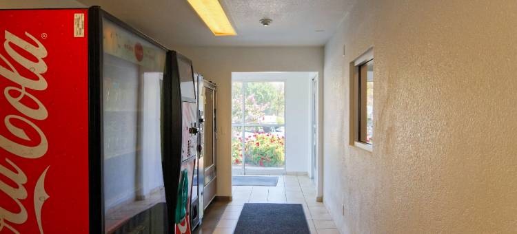 奇科6号汽车旅馆(Motel 6 Chico, CA)图片