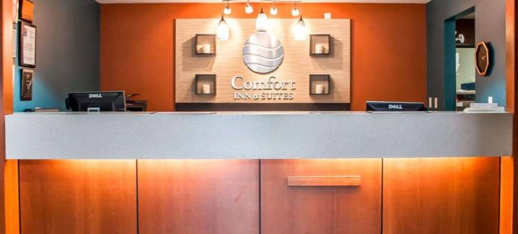 舒适酒店及套房-汉堡-南布法罗(Comfort Inn & Suites Hamburg - Buffalo South)图片