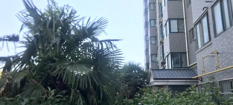 常来长安之家民宿(环城西路北段分店)图片
