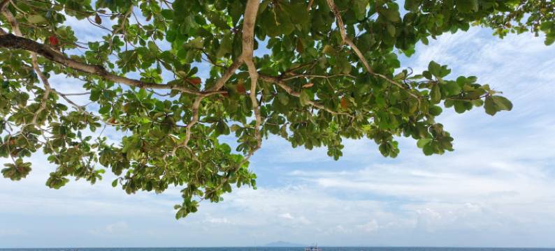 pp午夜酒店(PP Midnight Hotel)图片