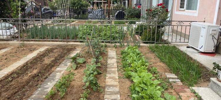 兴城海滨别墅整租距离浴场三百米(新东路1号分店)图片