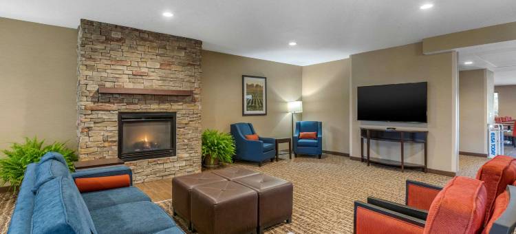 舒适套房酒店(Comfort Suites)图片