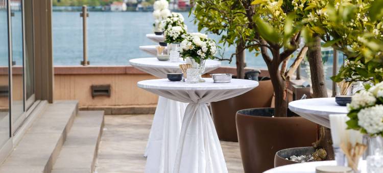 伊斯坦布尔丽笙蓝标博斯普鲁斯酒店(Radisson Blu Bosphorus Hotel, Istanbul)图片
