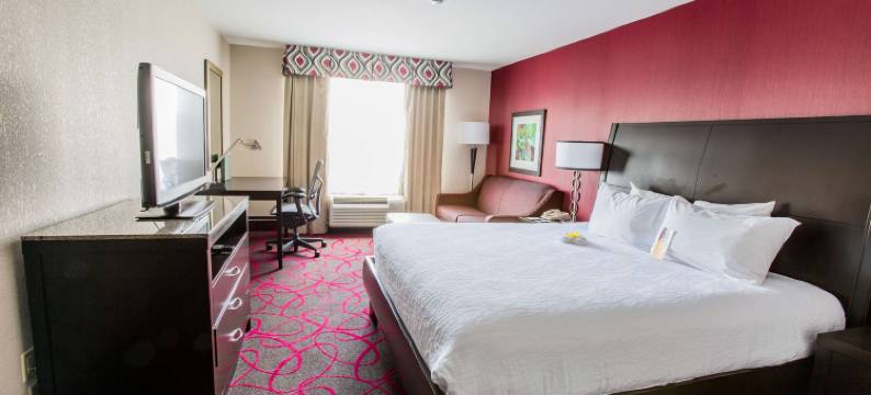 哥伦布都柏林希尔顿花园酒店(Hilton Garden Inn Columbus/Dublin)图片