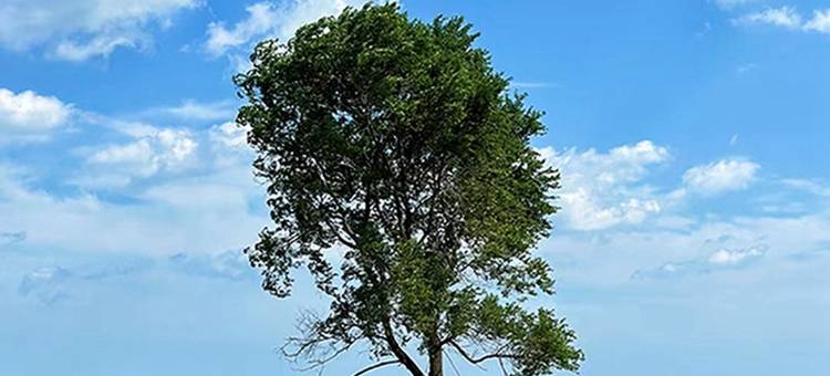 南洋的天空公寓(洛阳路分店)图片