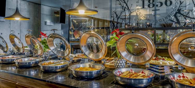 蒙特雷山谷盛大嘉年华美洲酒店(Grand Fiesta Americana Monterrey Valle)图片