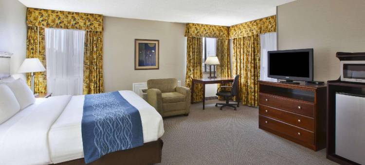 品质酒店大布兰克 - 弗林特南(Quality Inn Grand Blanc - Flint South)图片