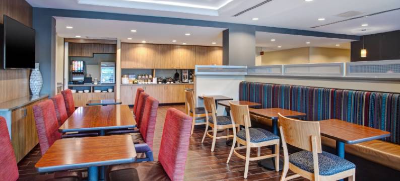 底特律贝尔维尔TownePlace Suites酒店(TownePlace Suites Detroit Belleville)图片