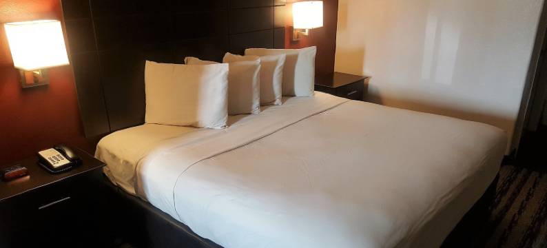 休斯顿亨博尔IAH机场红顶套房酒店(Red Roof Inn & Suites Houston - Humble/ IAH Airport)图片