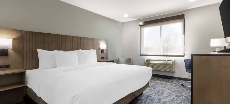 贝斯特韦斯特北湾汽车旅馆(Best Western North Side Inn)图片