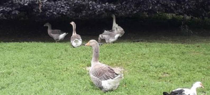 Studio du Gite图片