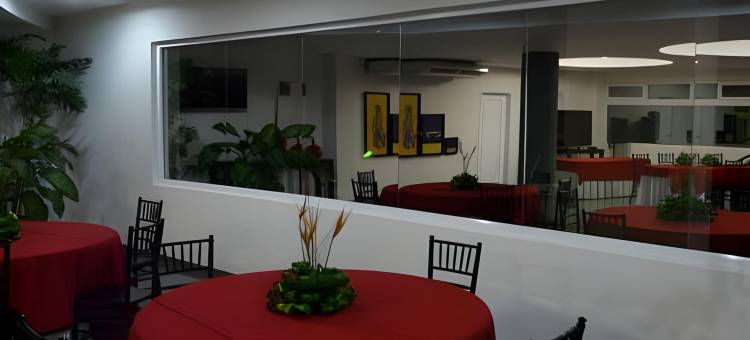 格拉里亚斯 Hn 酒店(Hotel Galerias HN)图片
