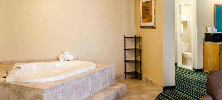 麦地那阿克伦西凯艺套房酒店(Quality Inn & Suites Medina - Akron West)图片