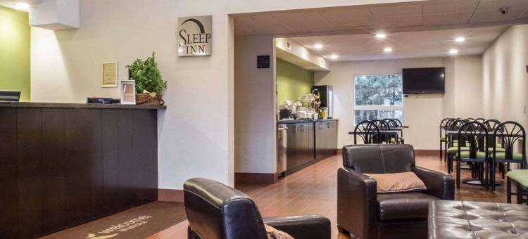 布雷斯桥斯利普酒店(Comfort Inn)图片