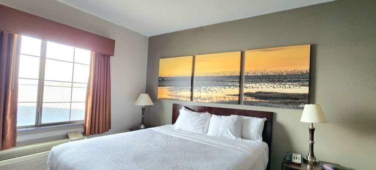 克马戴斯酒店(Days Inn by Wyndham Kemah)图片