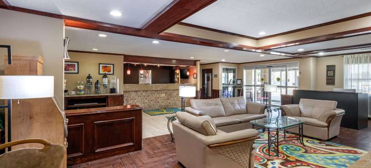 艾迪生-达拉斯品质套房酒店(Quality Suites Addison-Dallas)图片