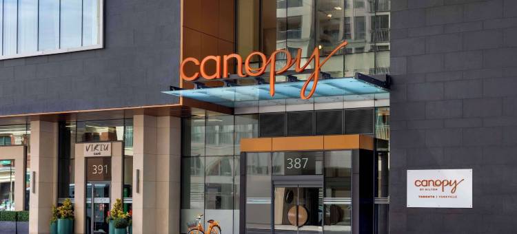 多伦多约克维尔希尔顿嘉悦里酒店(Canopy by Hilton Toronto - Yorkville)图片