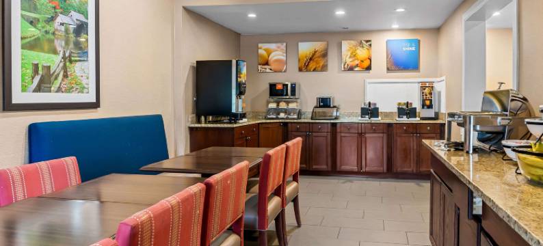 舒适套房酒店(Comfort Inn & Suites)图片