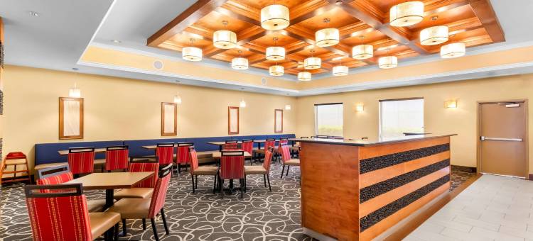 卡蒂舒适套房酒店(Comfort Suites at Katy Mills)图片