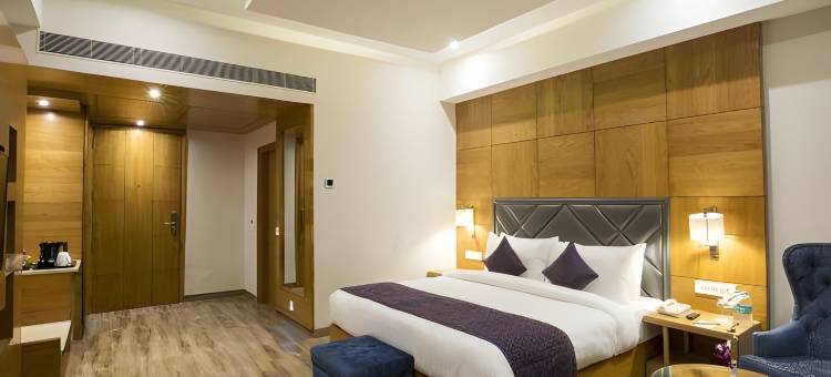 昌迪加尔卡西亚兹拉克普尔雷根塔中心酒店(Regenta Central Cassia Zirakpur Chandigarh)图片